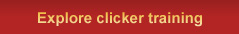 Explore Clickertraining